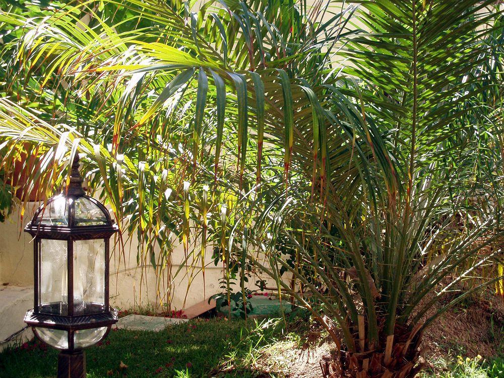 Alsol Nogal- Adults Only Playa del Inglés Extérieur photo